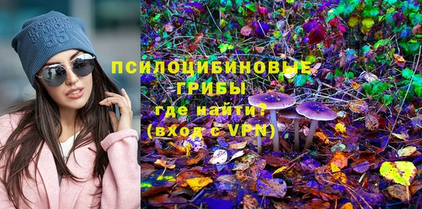хмурый Михайлов