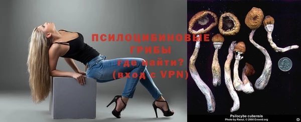 герыч Медногорск