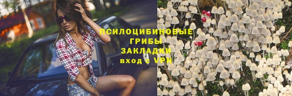 хмурый Михайлов