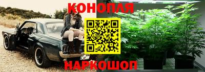 mdpv Моздок