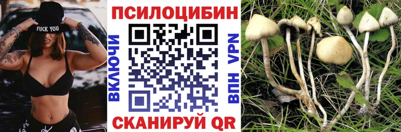 Галлюциногенные грибы Cubensis  Новомосковск 