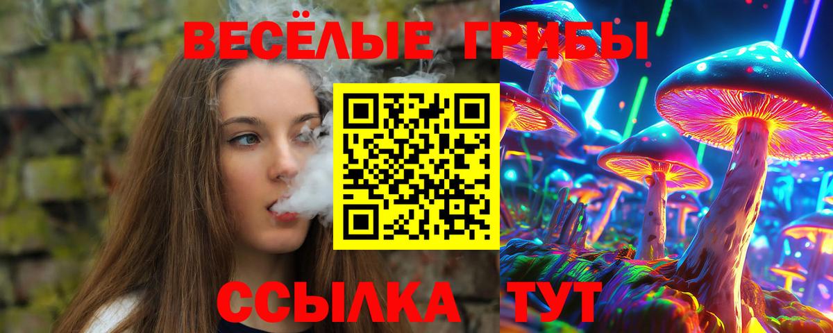 Галлюциногенные грибы мухоморы Новомосковск